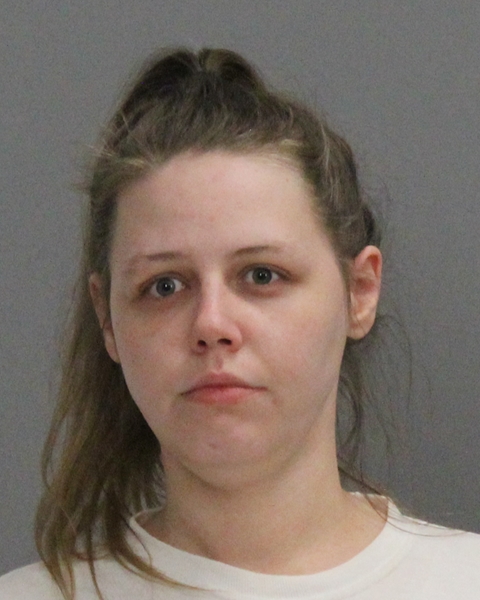 Sande, Ashley Nicole booking photo
