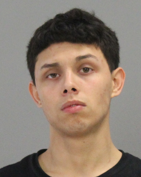 GALVAN, JIMMY LEE, Jr booking photo