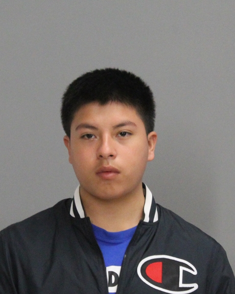 TENA, NICHOLAS EFRAIN booking photo