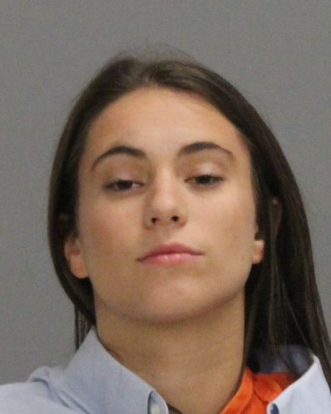 GIBSON, DEVAN AVERY booking photo