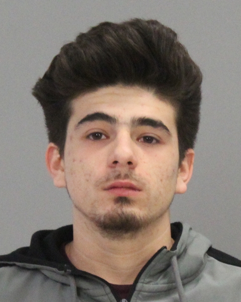 REYES, BRENDAN SKOTT booking photo