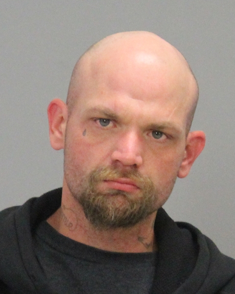 METTEY, CRAIG ANTHONY booking photo