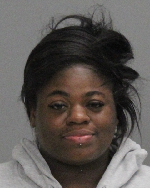 STEWART, ERICA R booking photo