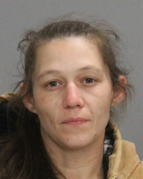 DAVID, NATALEE ALANE booking photo