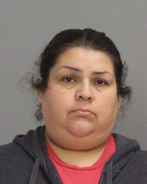 VALADEZ-CONTRERAS, ERIKA booking photo