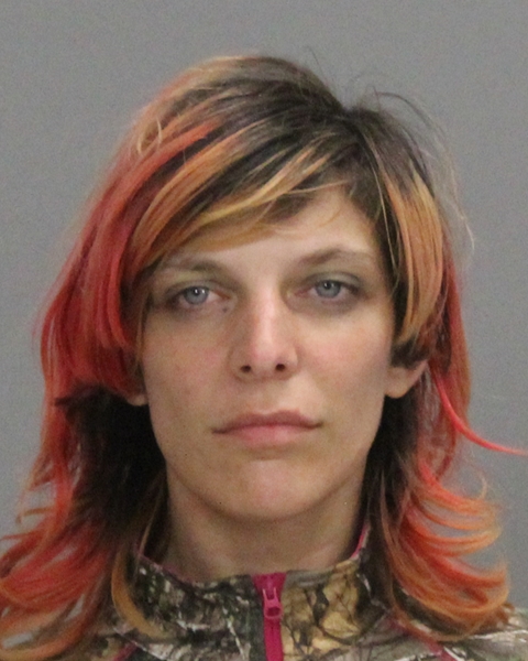 AKERSON, AMBER ELIZABETH booking photo