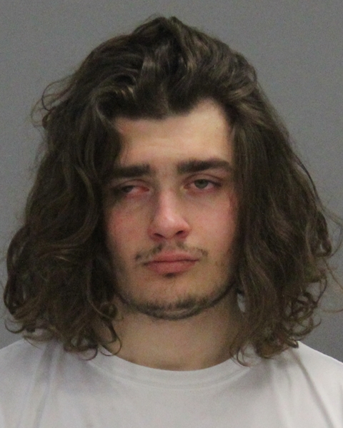 HONEA, DYLAN booking photo