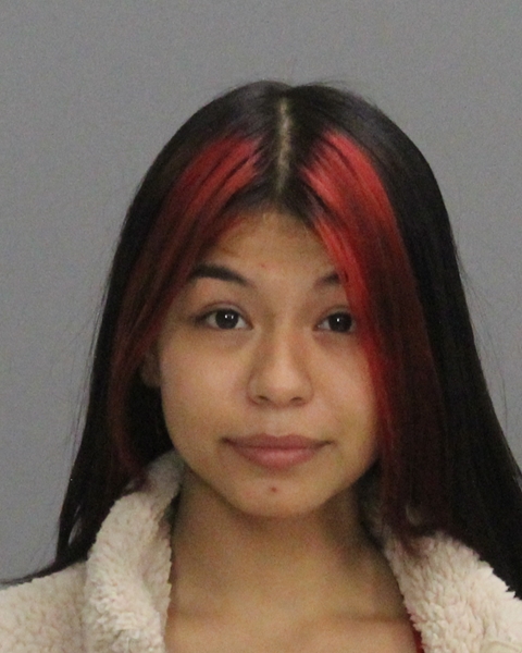 Tran, Trulee Thanh booking photo