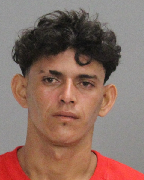 Medina, Ariel booking photo