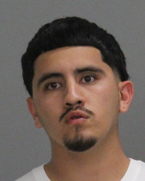 BAHENA, ROGELIO ANTONIO booking photo