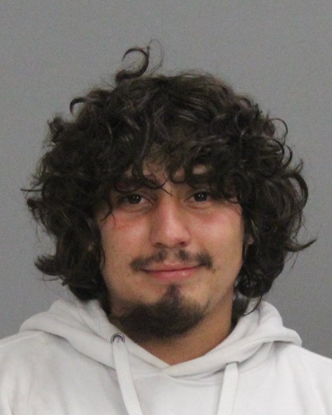 Ramirez, Nico Alexander booking photo