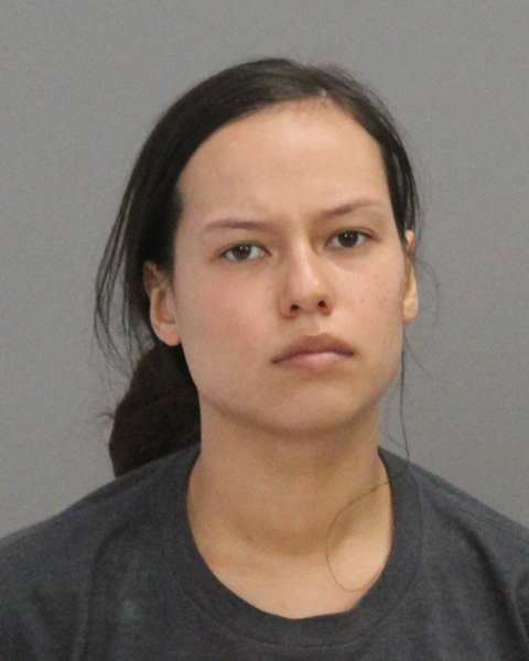 DAVILA, JEANNE ELIZABETH booking photo