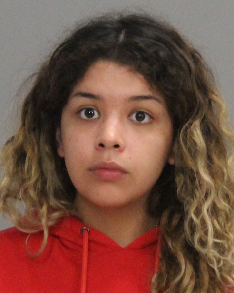 DIAZ GARCIA, VERONICA MARIE booking photo