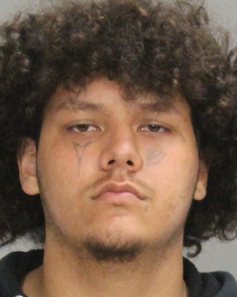 CARDOZA, JOSE LUIS booking photo