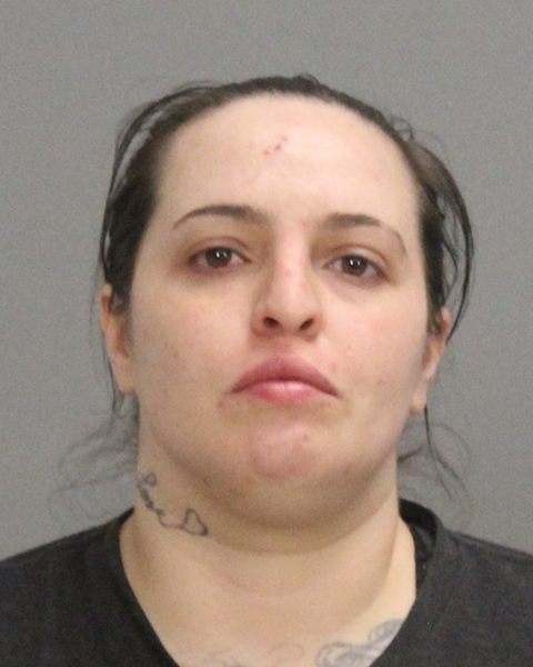 LOGSDON, MERI JOYCE booking photo