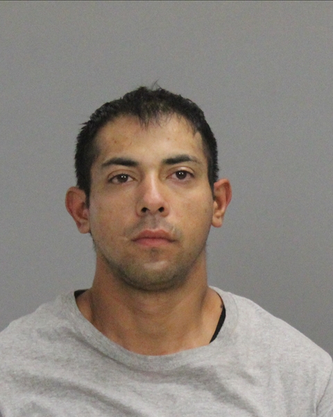 GOMEZ, MARCUS ELI booking photo