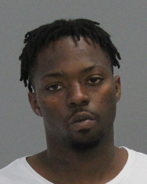 JOHNSON, MICHAEL LAWRENCE booking photo