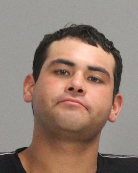 SAUSEDA, ROY ANGEL booking photo