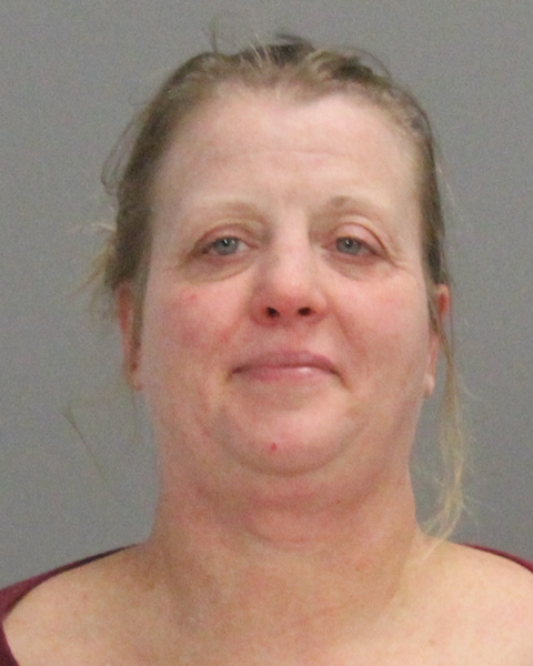 VANECEK, NICOLE CELESTE booking photo