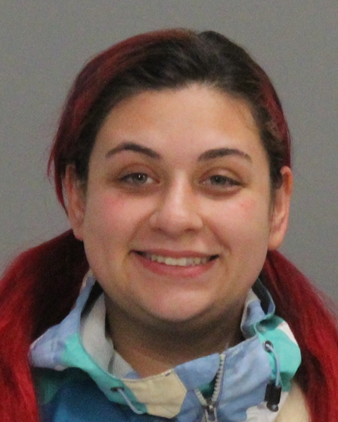 MANSFIELD, THERESA MARIA booking photo