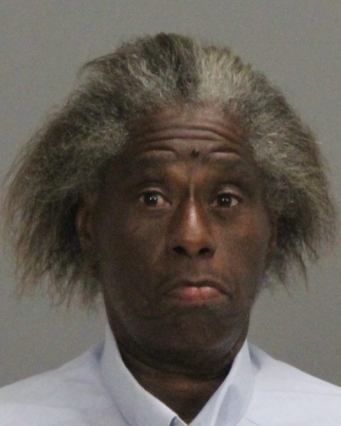 ROBERSON, BRIGETT LAVEL booking photo