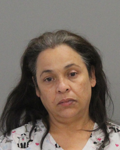 WILLIAMS, TINA MARIE booking photo