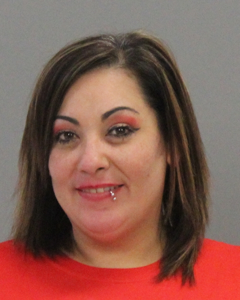 CASTILLO-POINTER, BRANDI LEE booking photo