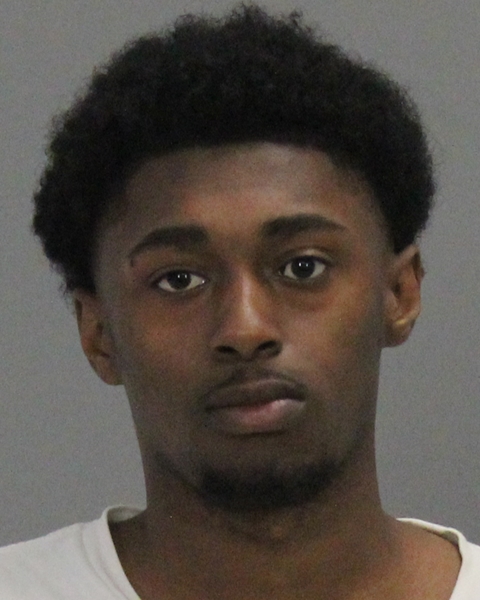 ROBERTSON, MICHAEL LANDERS booking photo