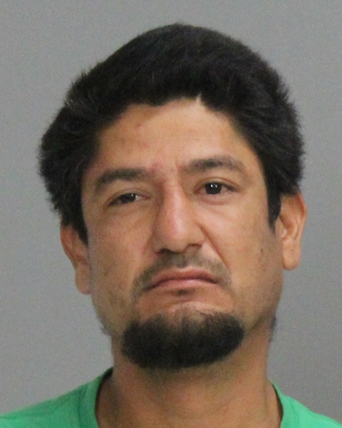 GALVAN, DAVID RAY booking photo