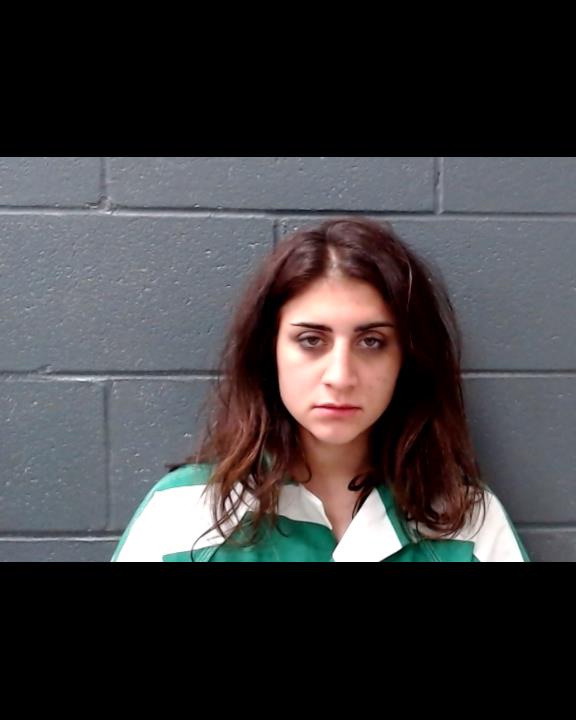 KLIEWER, MISHELLE LYNN booking photo