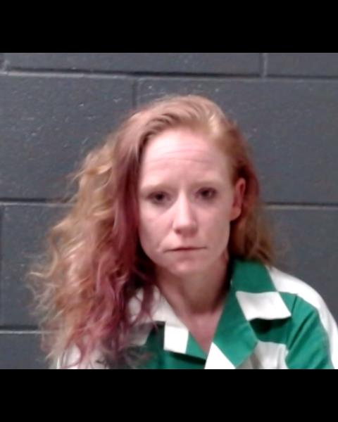 SAUCEDO, JAMIE LYNN booking photo