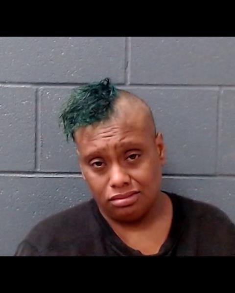 RICES, REBECCA ELIZABETH booking photo