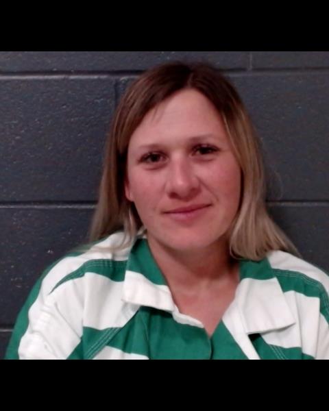 HALUZAN, MICHELLE LYNN booking photo