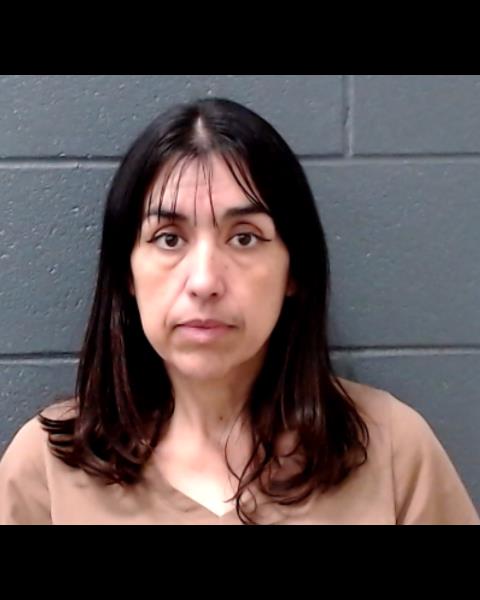 SANCHEZ, VERONICA VIOLETA booking photo