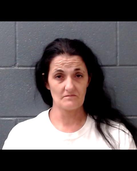 WANSICK, MALINDA MAE booking photo