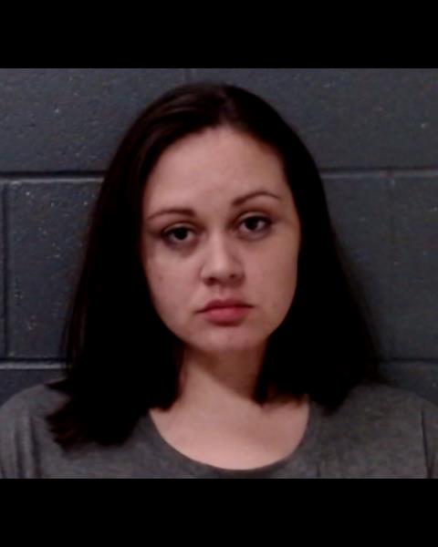 PALMER, TAMARA FAYE booking photo