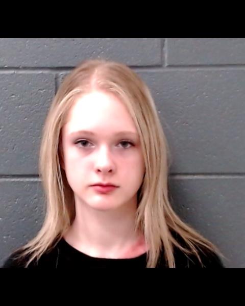 BRINKKOETER, MADISON TAYLOR booking photo
