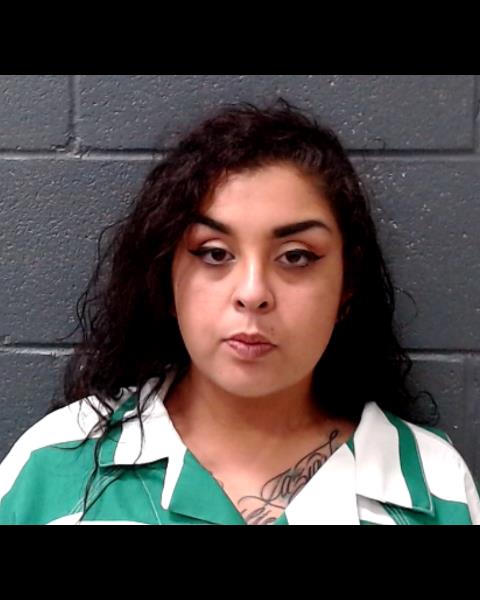 RAMIREZ, ABIGAIL SALAZAR booking photo
