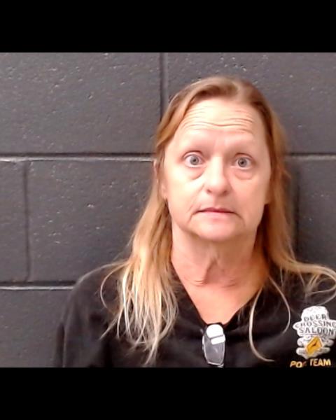 SPARKS, JACQUELINE CONARD booking photo