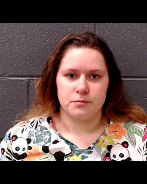 YOUNG, LILJUANA SPASIC booking photo