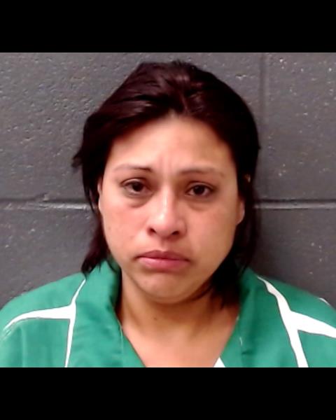 VARA-GARCIA, IRENE CRUZ booking photo