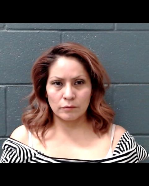 YAZZIE, MICHELLE LYNN booking photo