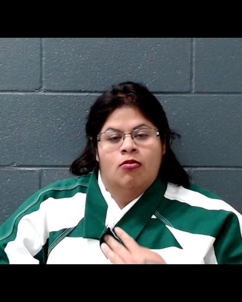 TIENDA, BRITTANY DENEE booking photo