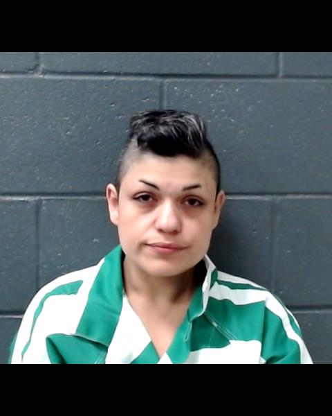 LOZANO, CHRISTINA MARIE booking photo
