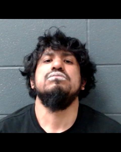 GONZALEZ, J CARMEN, Jr. booking photo