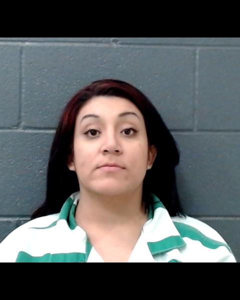 ROMAN, ABIGAIL booking photo