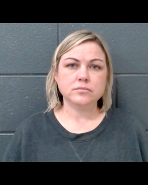 THEIS, ASHLEY MICHELLE booking photo