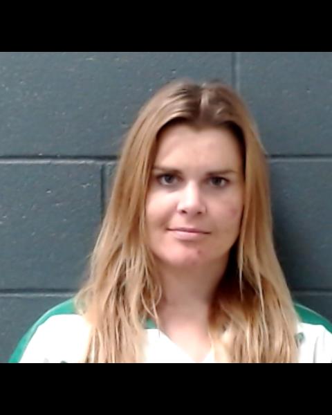 VRLICAK, MEGHAN ELIZABETH booking photo