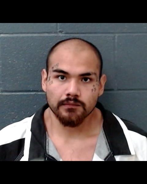 VARGAS, FERMIN booking photo