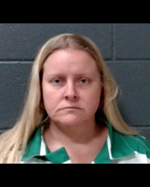 WAELTI, CRYSTAL LEE booking photo